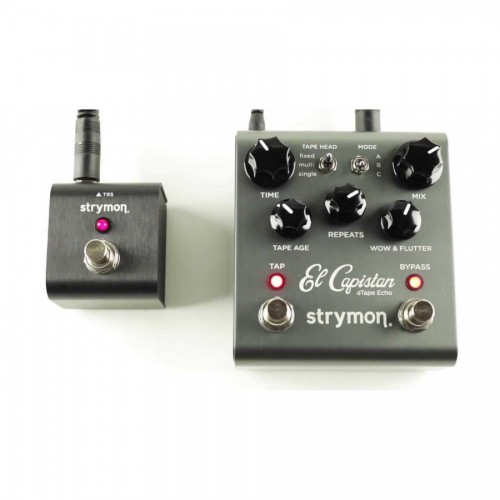 Strymon Tap Favorite - Preset and Tap Tempo Switch